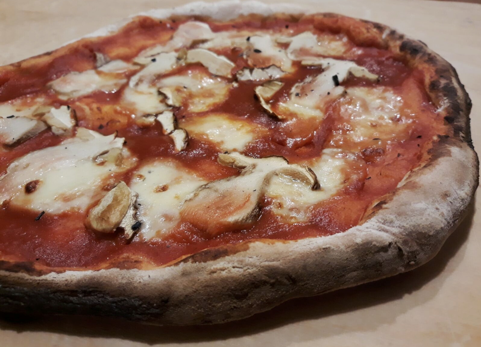 impasto per la pizza napoletana