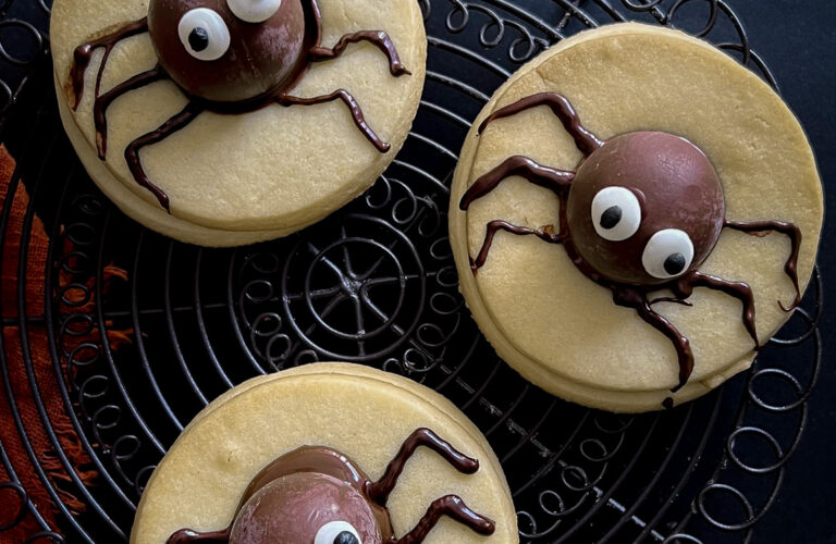 biscotti ragnetto di halloween